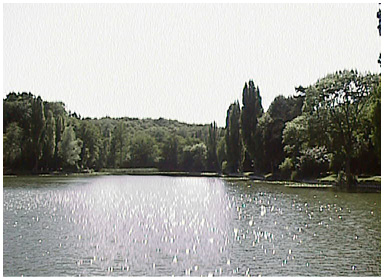 etang.jpg (53663 octets)