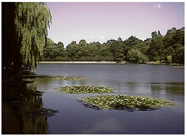 etang2.jpg (52141 octets)