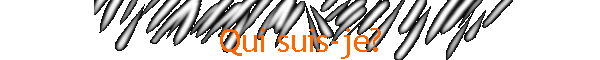 Qui suis-je?